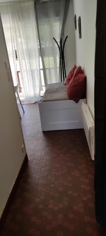 Appartement T1Bis St Lary Soulan Village Сен-Лари-Сулан Экстерьер фото